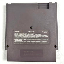 Load image into Gallery viewer, The Flintstones: The Surprise at Dinosaur Peak!