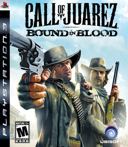 Call of Juarez: Bound in Blood