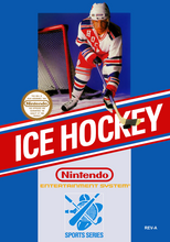 Load image into Gallery viewer, Ice Hockey