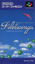 Load image into Gallery viewer, Pilotwings