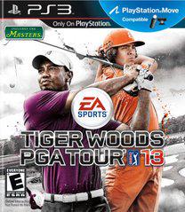 Tiger Woods 13